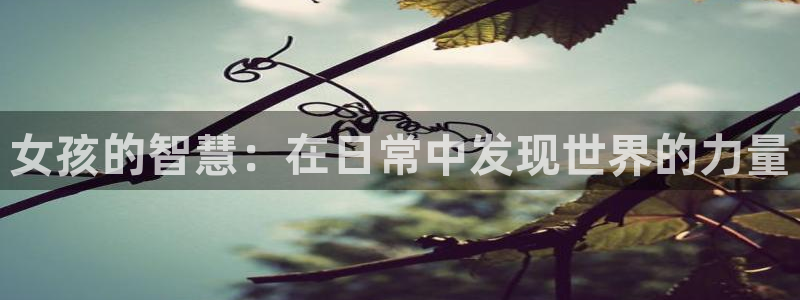 耽漫网值得收藏的书下拉式