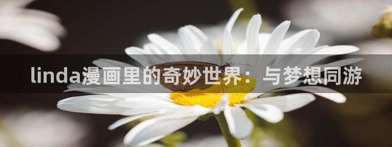 耽漫网：linda漫画里的奇妙世界：与梦想同游