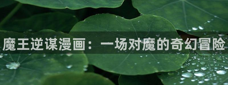 耽耽漫网：魔王逆谋漫画：一场对魔的奇幻冒险